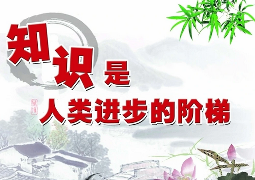 用宝珠打扮自己，不如用知识充实自己的意思和意义