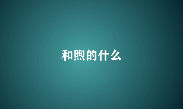 和煦的什么