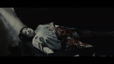 复仇者之死的影片评价