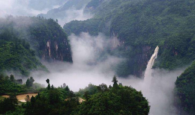 visitors是什么意思