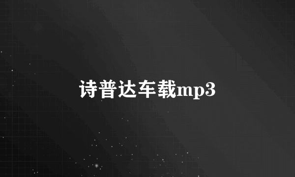 诗普达车载mp3