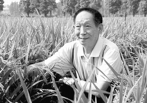 “杂交水稻之父”袁隆平逝世，是否有透露其死因？