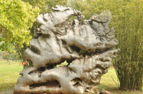 奇形怪状什么意思