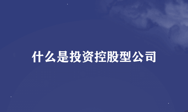 什么是投资控股型公司