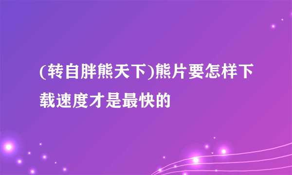 (转自胖熊天下)熊片要怎样下载速度才是最快的