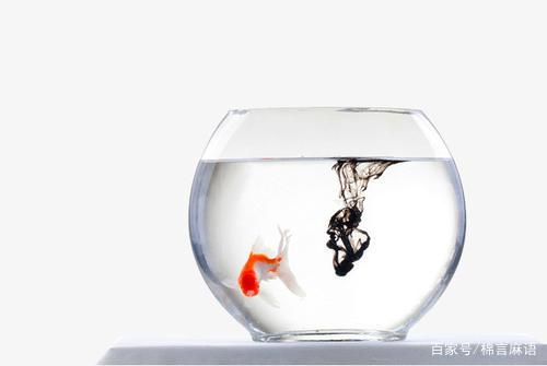 我是养鱼的初学者，我该如何入手养鱼呢？
