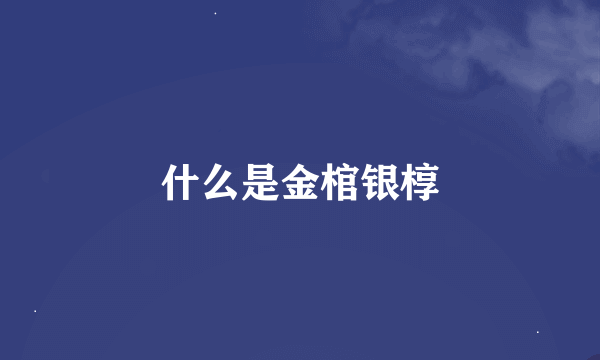什么是金棺银椁
