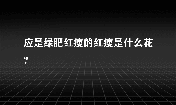 应是绿肥红瘦的红瘦是什么花?