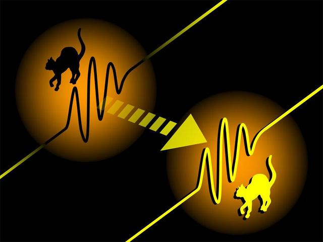 量子芝诺效应（quantum zeno effect）
