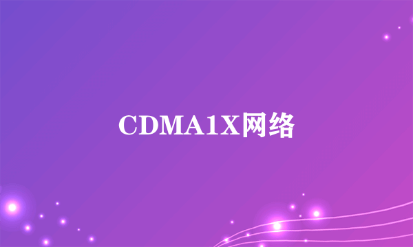 CDMA1X网络