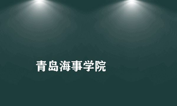 
青岛海事学院

