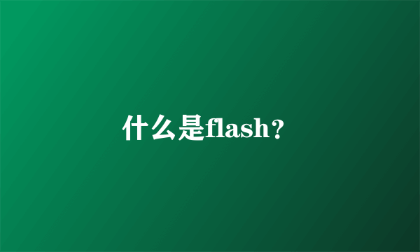 什么是flash？