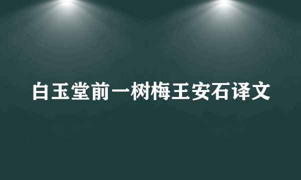 白玉堂前一树梅王安石译文