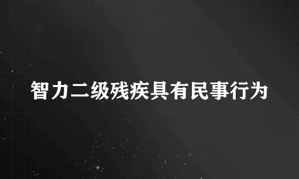 智力二级残疾具有民事行为