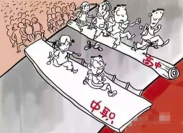 2022年5月1日起取消中考普职分流是什么意思？