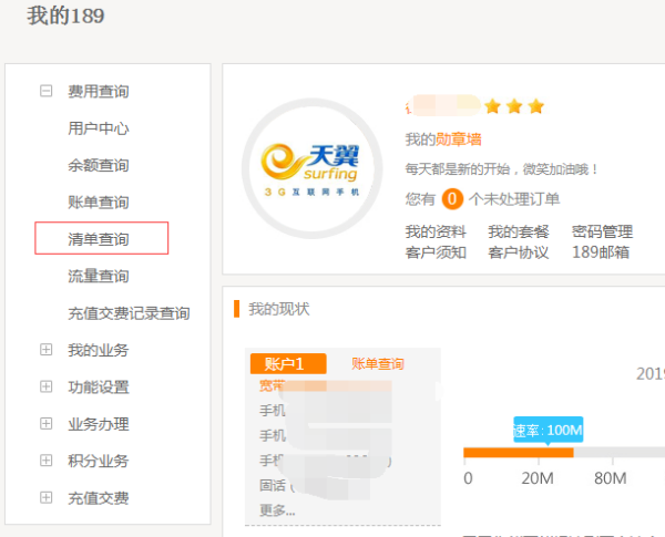 怎么查详单？