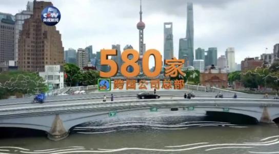 跨国公司的定义是什么