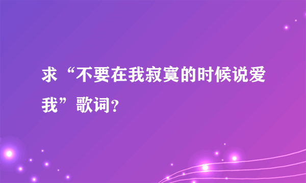 求“不要在我寂寞的时候说爱我”歌词？