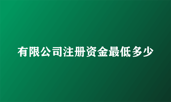 有限公司注册资金最低多少