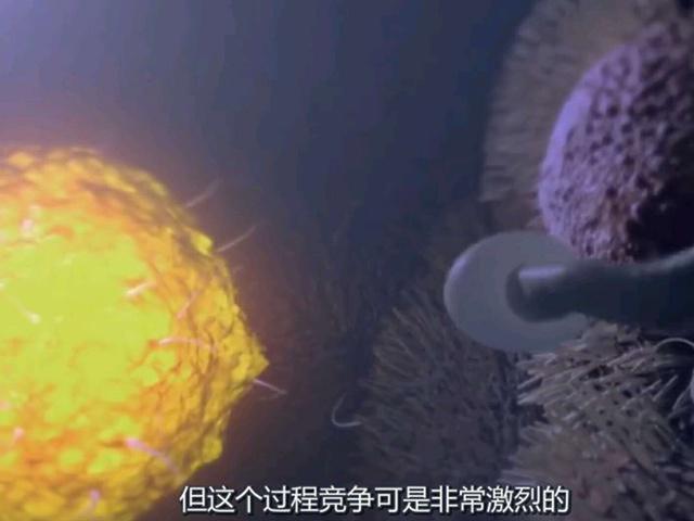 新生命是如何诞生的？