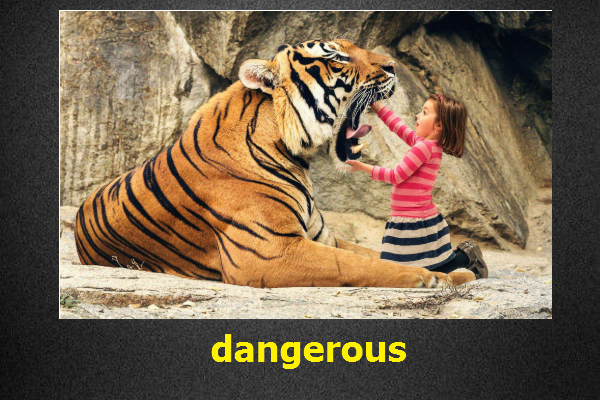 dangerous是什么意思？