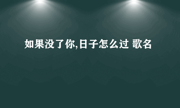 如果没了你,日子怎么过 歌名
