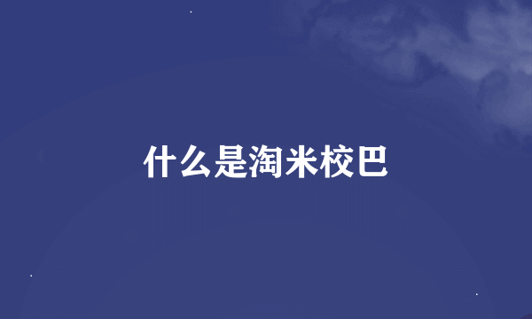 什么是淘米校巴
