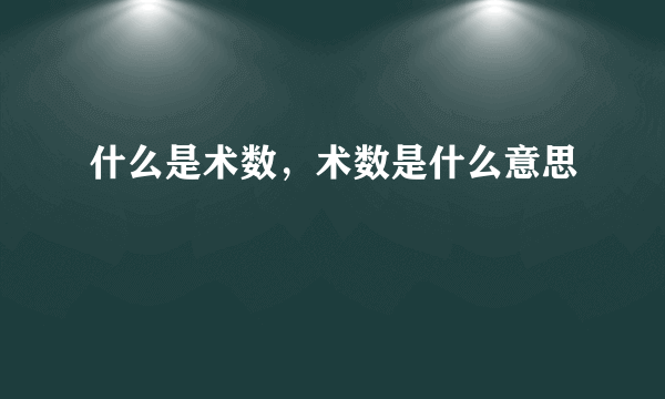 什么是术数，术数是什么意思