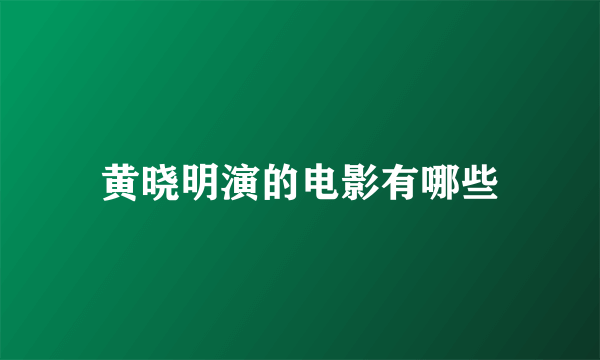 黄晓明演的电影有哪些