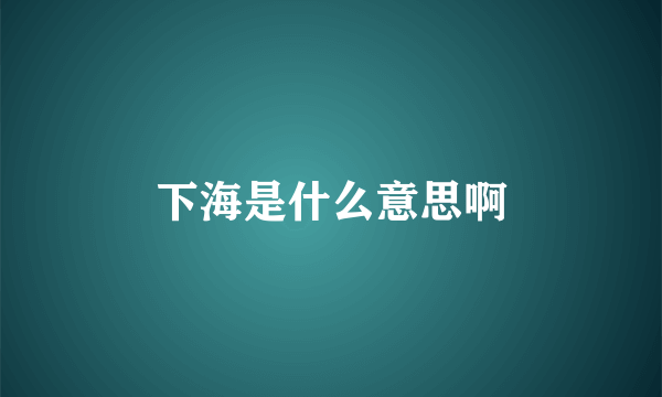 下海是什么意思啊
