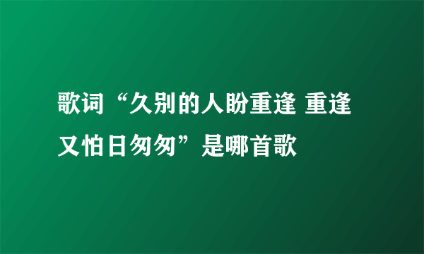 歌词“久别的人盼重逢 重逢又怕日匆匆”是哪首歌