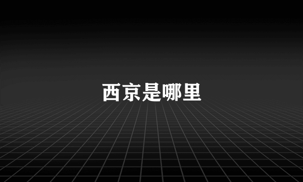 西京是哪里