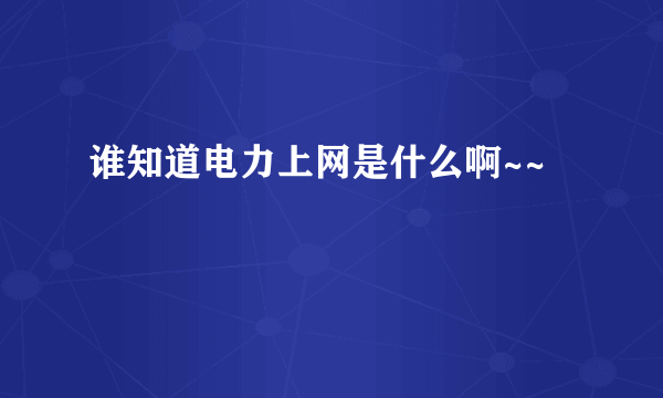 谁知道电力上网是什么啊~~