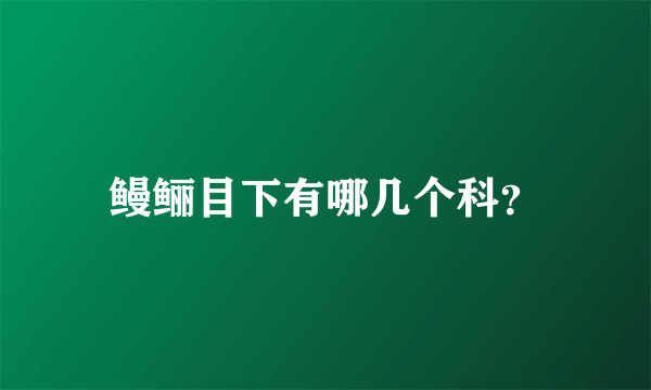 鳗鲡目下有哪几个科？