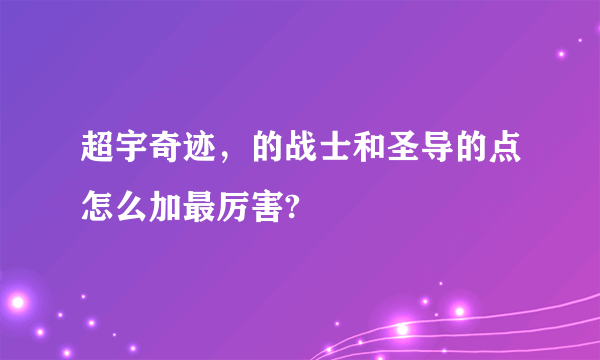 超宇奇迹，的战士和圣导的点怎么加最厉害?