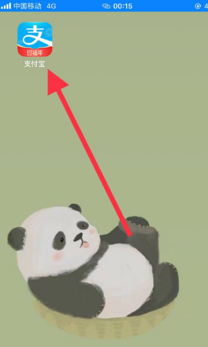 农村合作医疗怎么查询