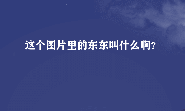 这个图片里的东东叫什么啊？