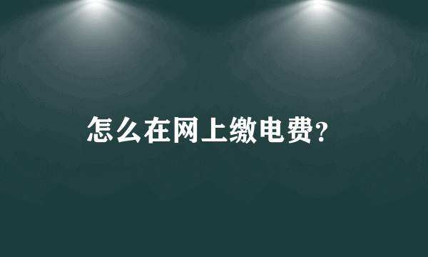 怎么在网上缴电费？