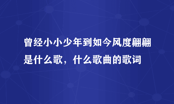 曾经小小少年到如今风度翩翩是什么歌，什么歌曲的歌词