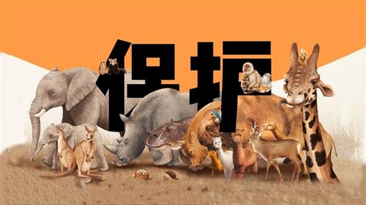 出国务工拾虎骨带回国内，为何会因此获刑5年？