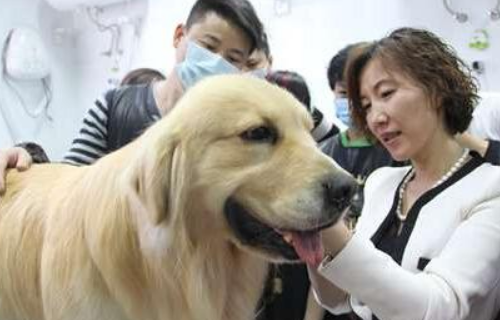 开宠物美容店赚钱吗