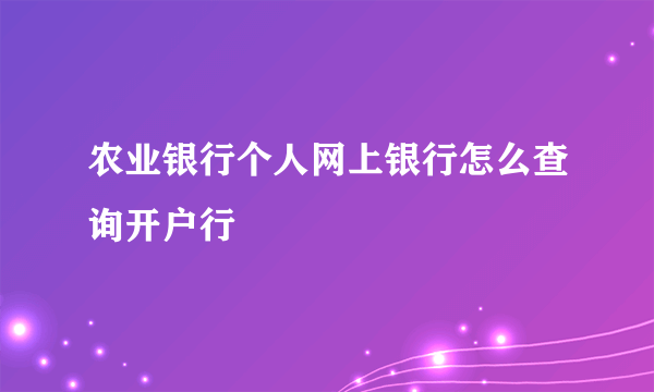 农业银行个人网上银行怎么查询开户行