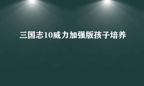 三国志10威力加强版孩子培养