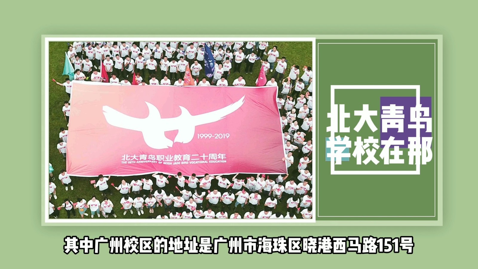 北大青鸟学校在那？