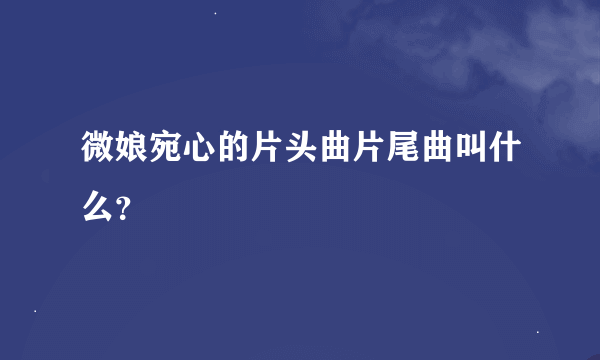 微娘宛心的片头曲片尾曲叫什么？