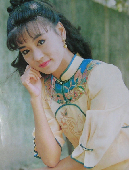 刘雪华演过多少电视剧？
