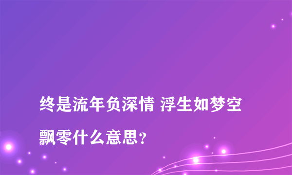 
终是流年负深情 浮生如梦空飘零什么意思？

