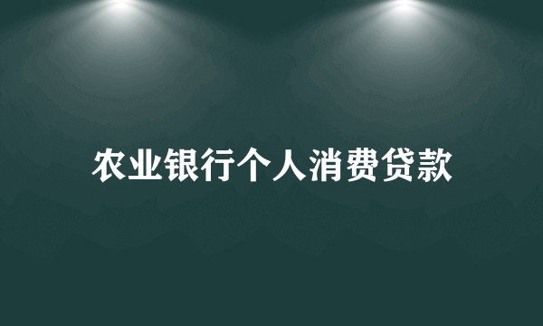农业银行个人消费贷款