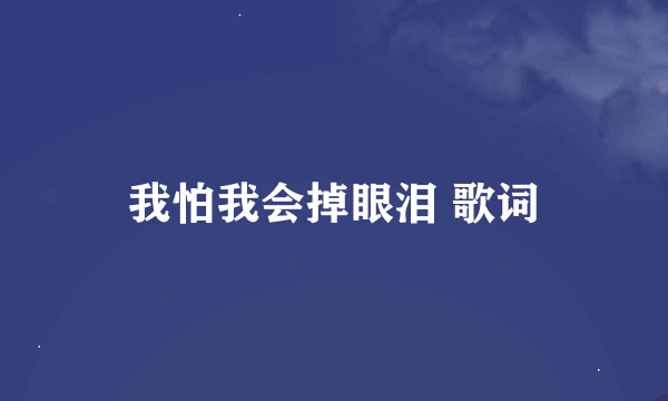 我怕我会掉眼泪 歌词