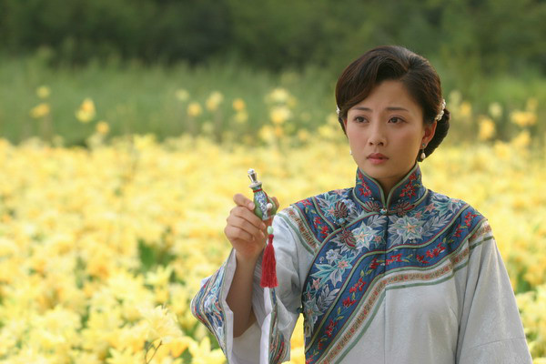 大珍珠电视剧剧情介绍